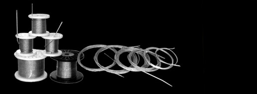 �����˿��